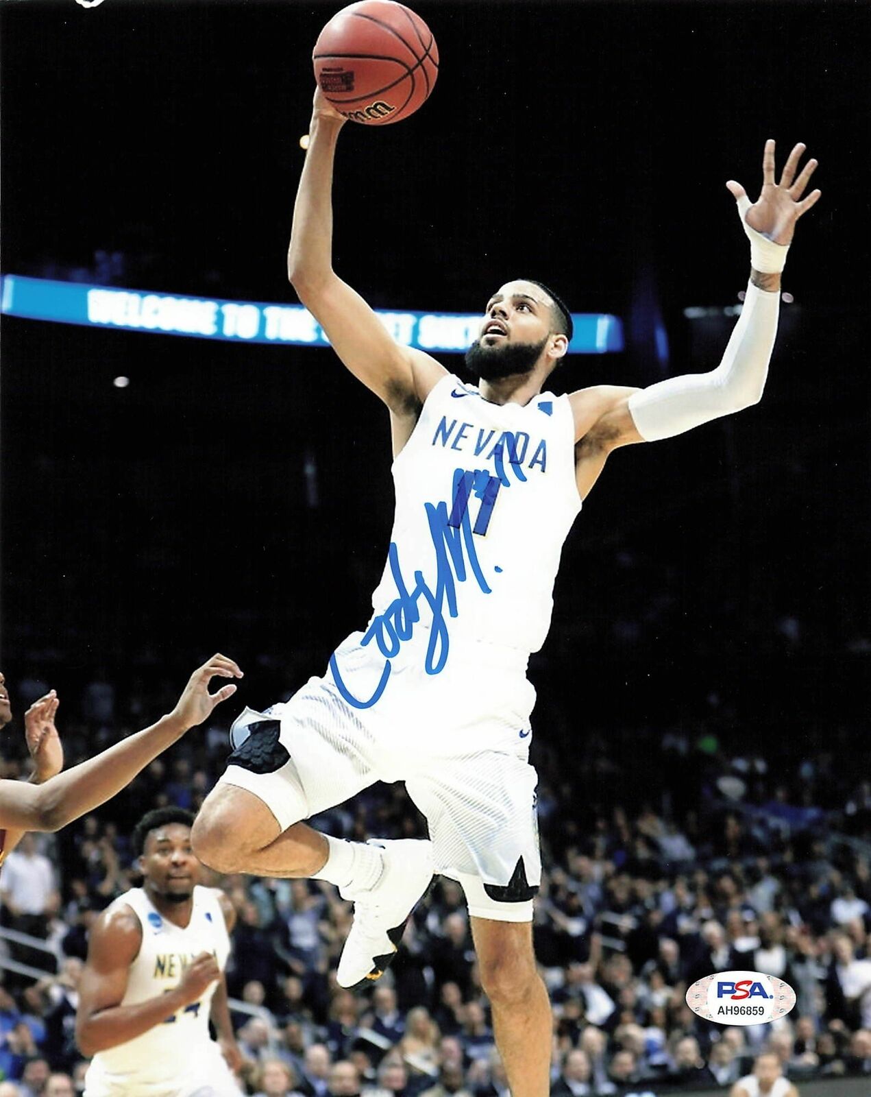 Cody Martin signed 8x10 Photo Poster painting PSA/DNA Nevada Autographed Hornets