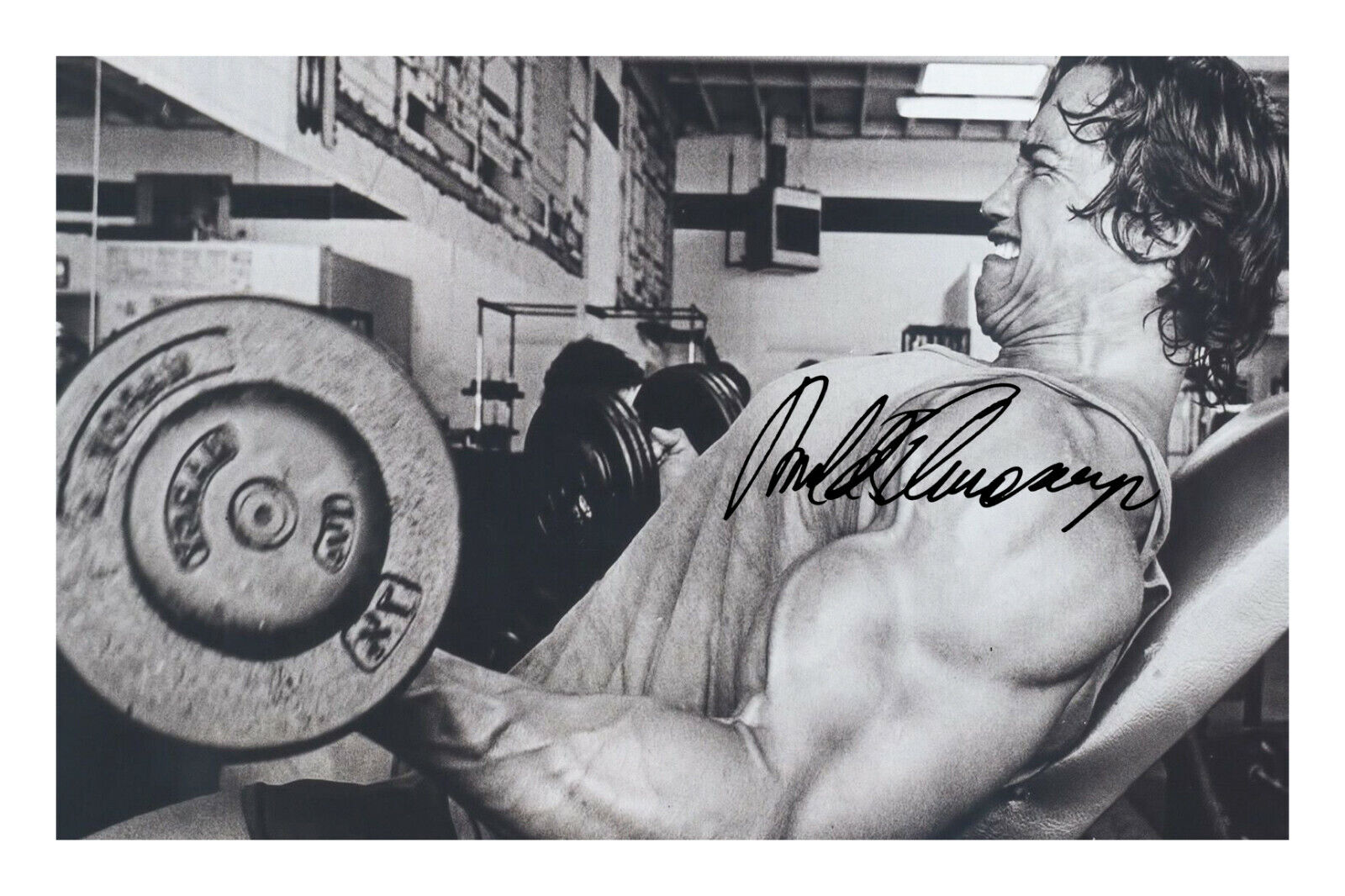 Arnold Schwarzenegger Signed A4 Photo Poster painting Print Autograph Body Buiilding Gym