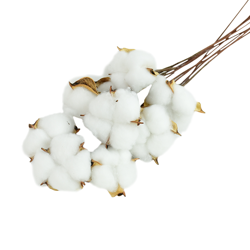 Christmas Gift Naturally Dried Cotton Flowers White Home Decorative Artificial Floral Branch Wedding Bridesmaid Bouquet Decor Fake White Flower