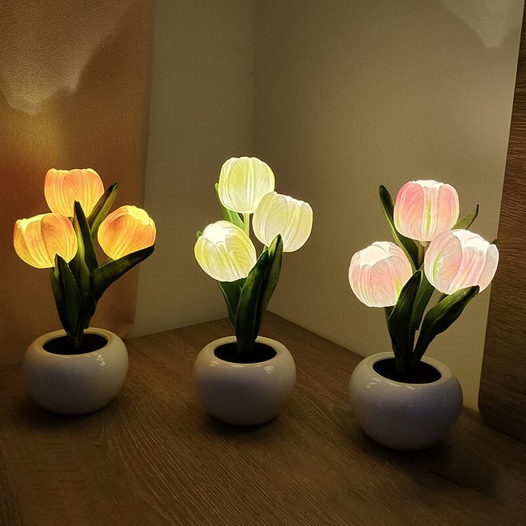 LED Tulip Night Light - Appledas
