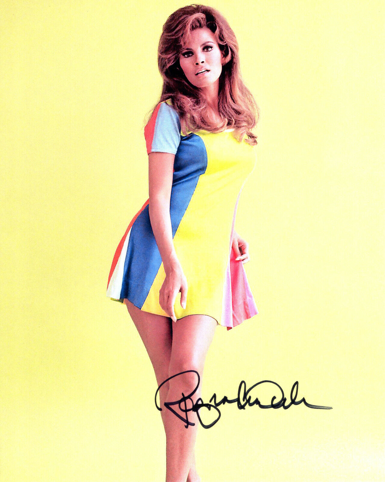 Original Signed Photo Poster painting of Raquel Welch 10x8 + COA