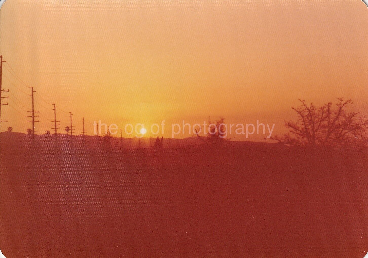 Landscape And Sun FOUND Photo Poster paintingGRAPH ColorOriginal Snapshot 86 13 F