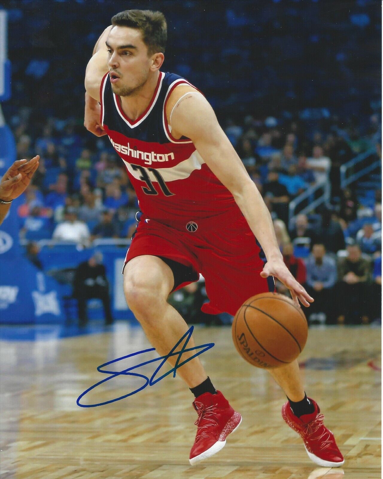 Tomas Santorasky Autographed 8x10 Washington WizardsA490