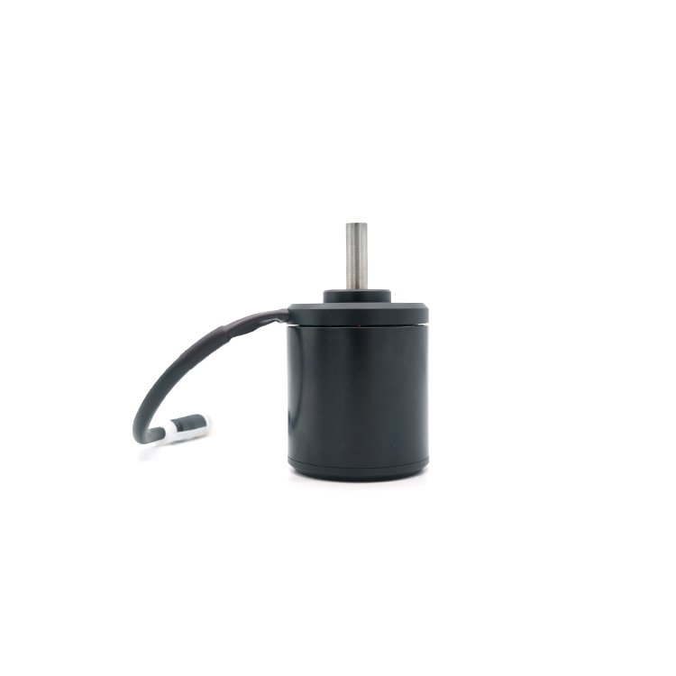 X1 MAX motor