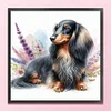 Dachshund-11CT Stamped Cross Stitch 40*40cm/15.75*15.75in