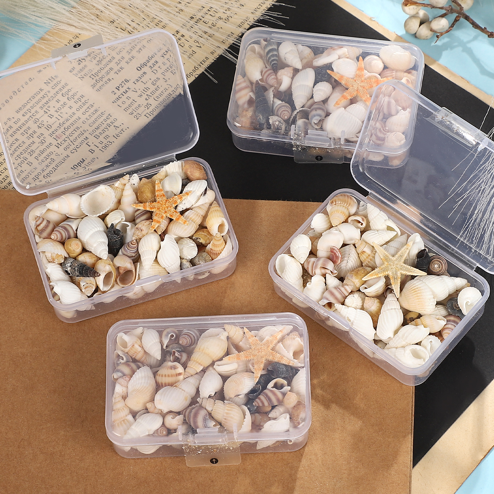 장식 재료 - 조개 미시 조경 레이아웃