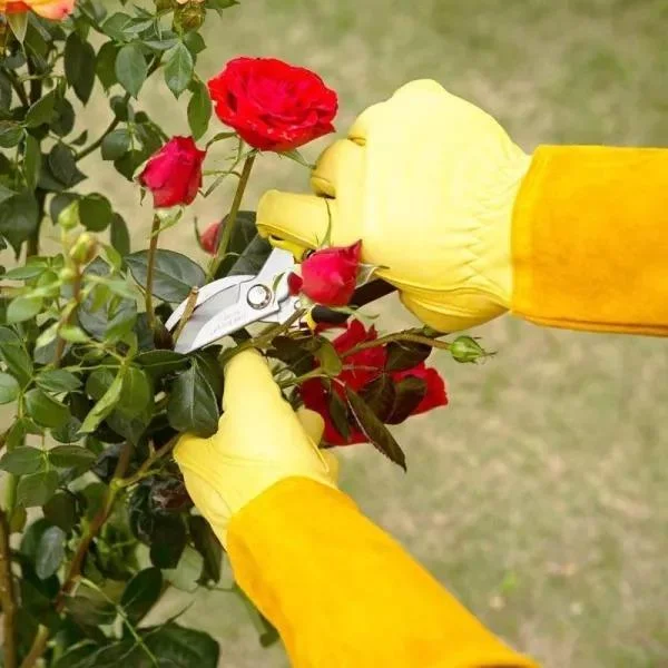 Rose Pruning Gloves - vzzhome