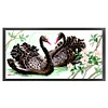 Bead Embroidery - Partial Printed 9CT Black Swan(66x36 CM)