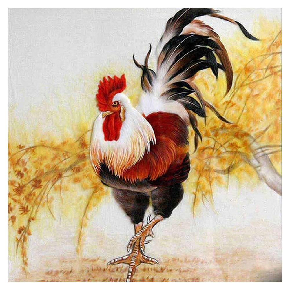 

Chicken - Round Drill Diamond Painting - 30*30CM, 501 Original