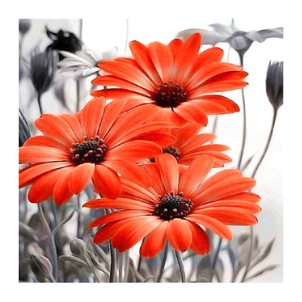 

Colorful Chrysanthemum - Square Drill Diamond Painting - 40*40CM, 501 Original