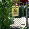 [Big Size]The Doors - Vintage Metal Signs - 30*40cm - Music