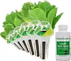 Heirloom Salad Vegetables Greens Mix Seed Pod Kit