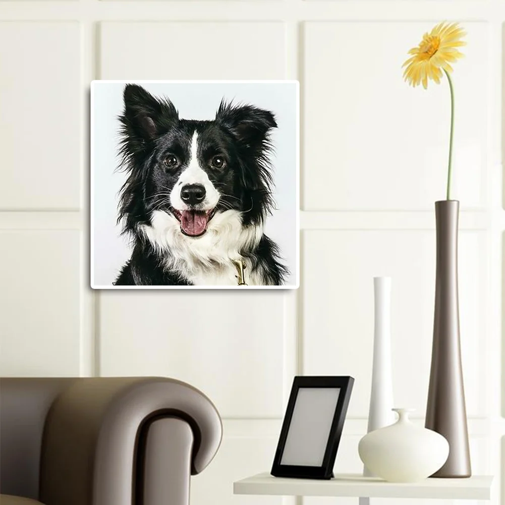 Diamond Painting - Full Round Drill - Dog(30*30cm)