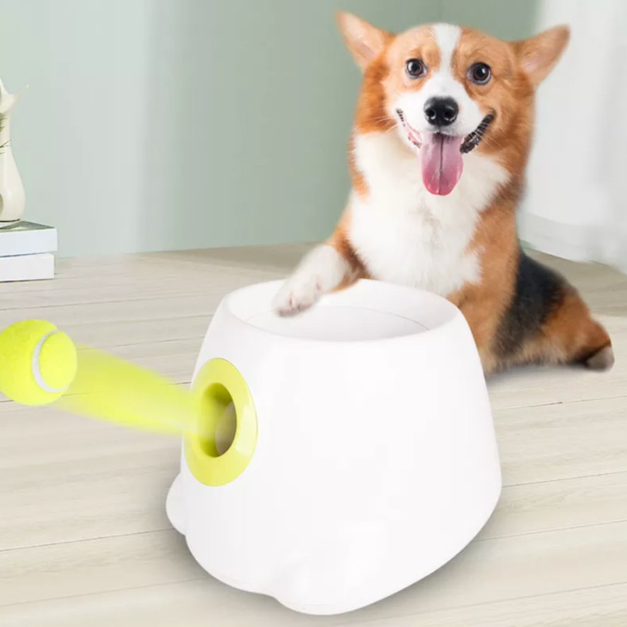 Tennis Ball Launcher for Dogs