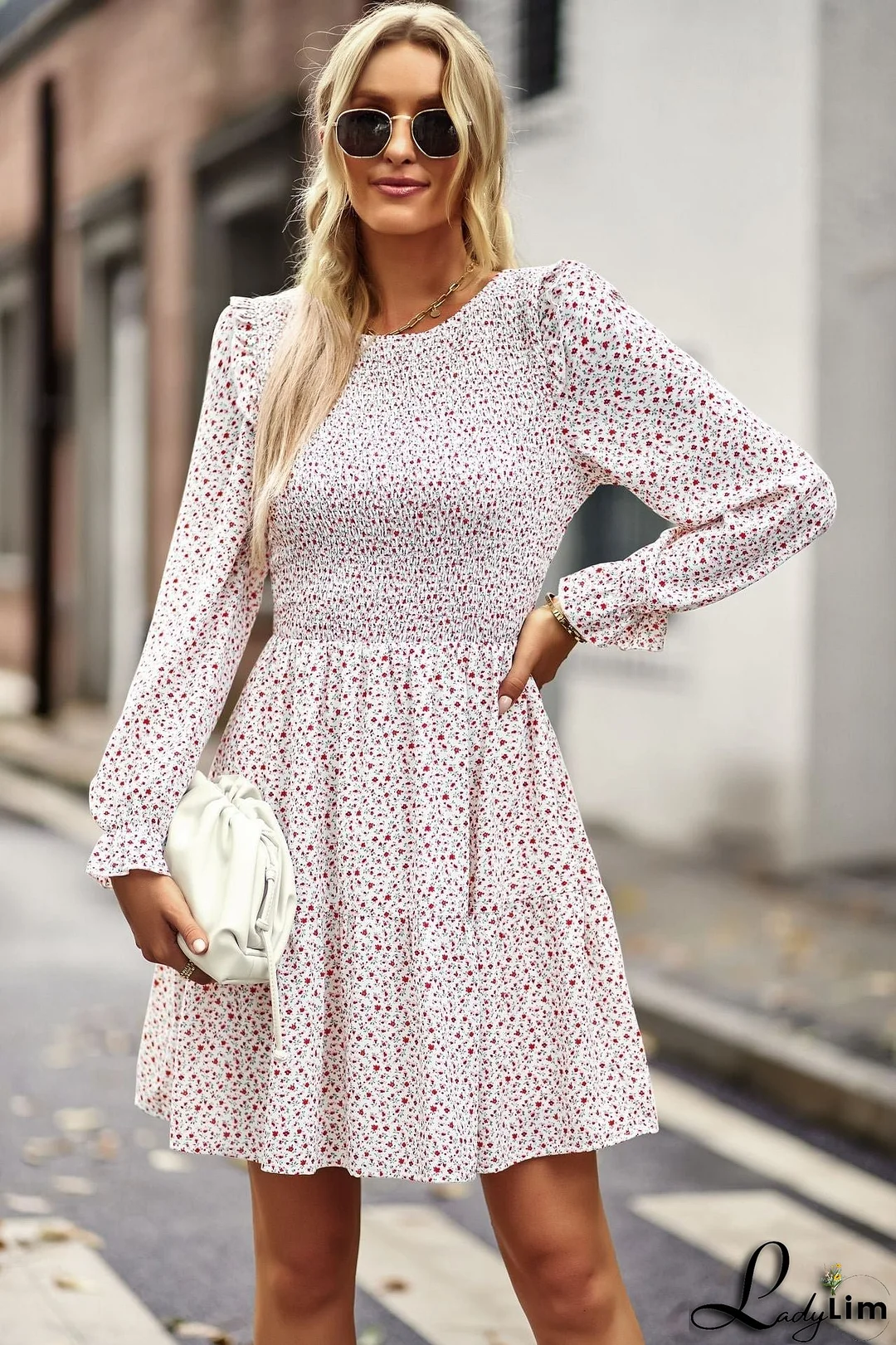 Elegant and Casual winter Dress