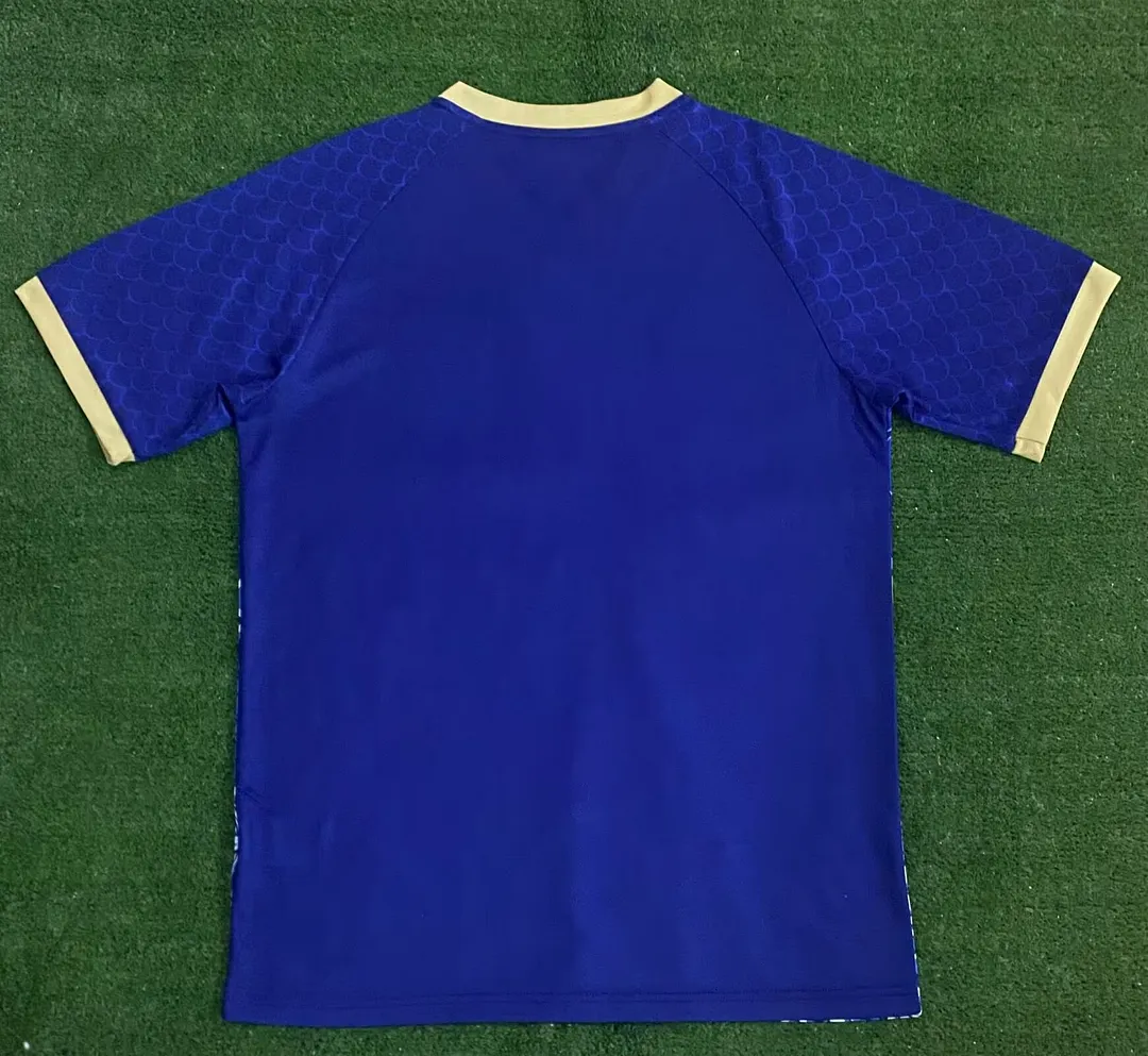 24/25 Japan Dragon Blue Soccer Shirt Thai Qulity