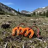 Game and Gear Hoist Block and Tackle Pulley System Plastic Compact Game Lifting Tool for Easy Game Hauling and Gear Management