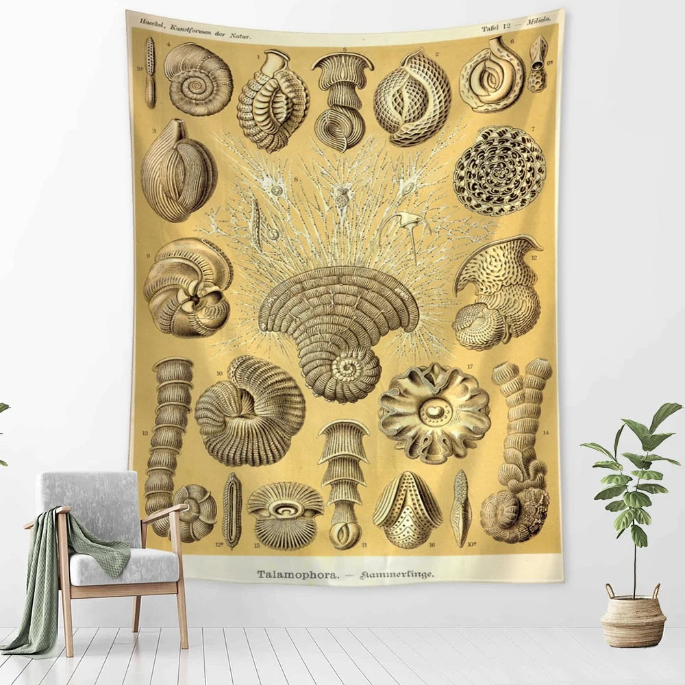 Starfish Conch Tarot Tapestry Wall Hanging Psychedelic Witchcraft Abstract Illustration Room Bedroom Home Decor