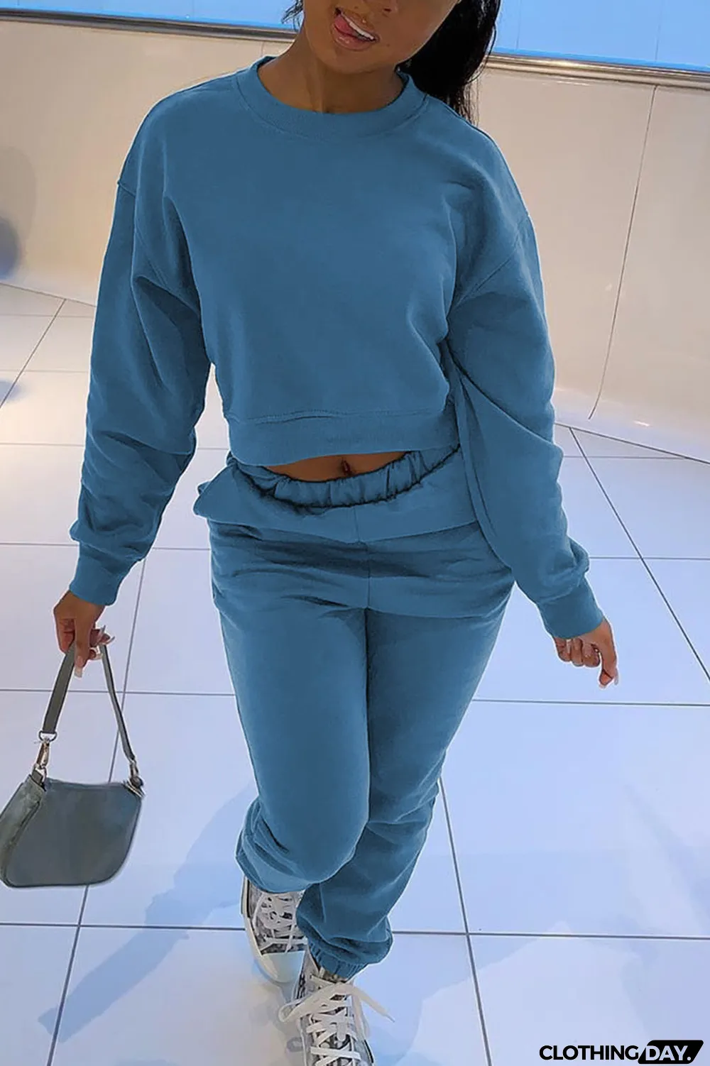 Blue Casual Solid Long Sleeve Two Pieces