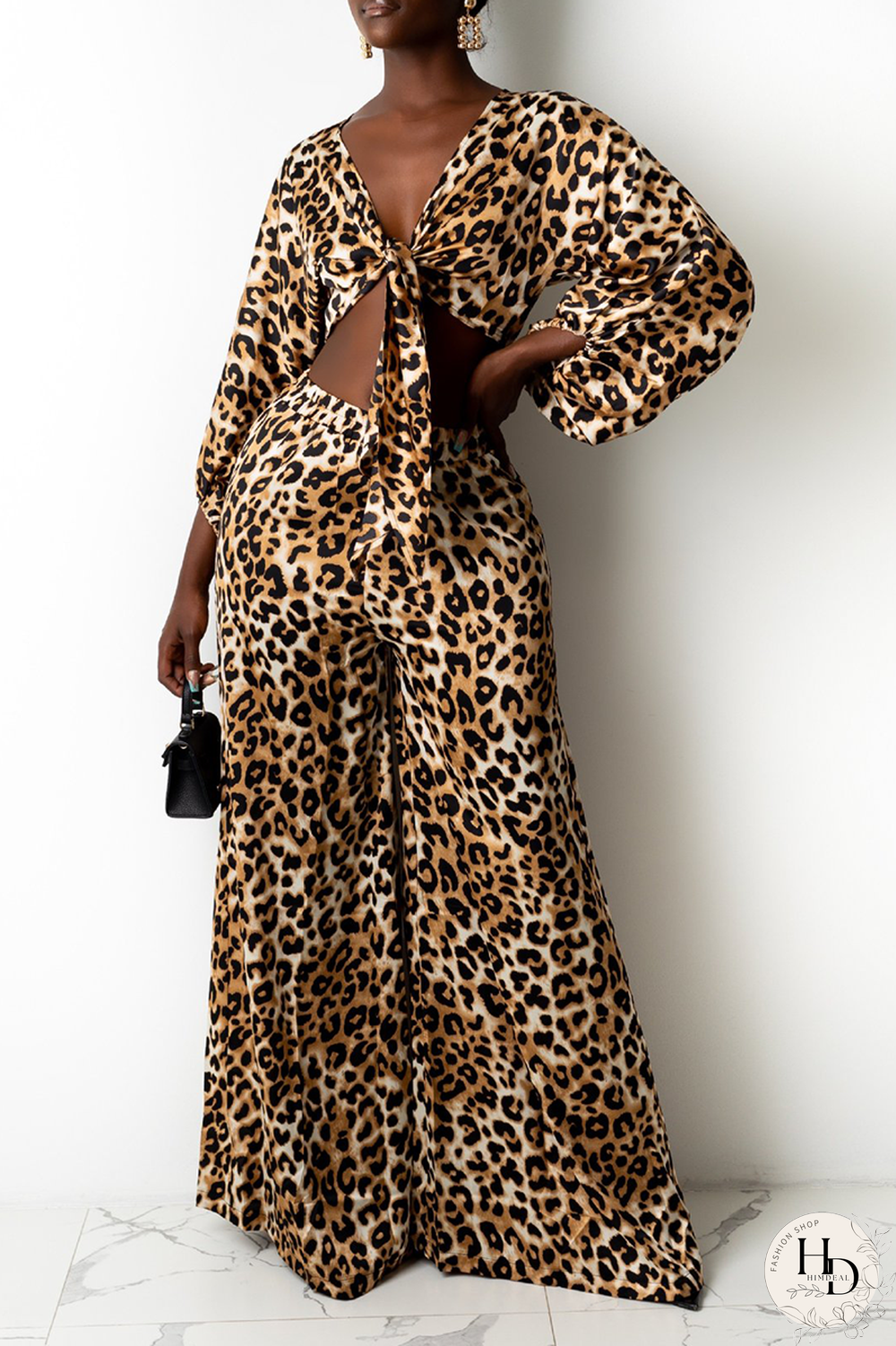 Leopard Print Sexy Print Split Joint V Neck Long Sleeve Two Pieces