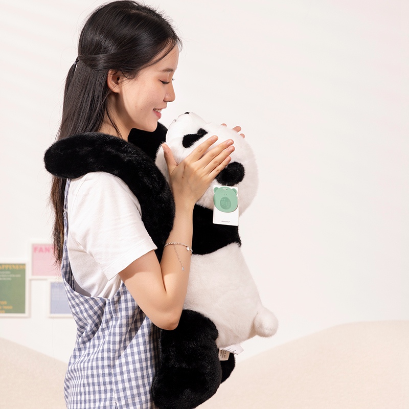 Tegooe 65cm Long-Arm Animal Plush Toy Pillow - Soft Raccoon