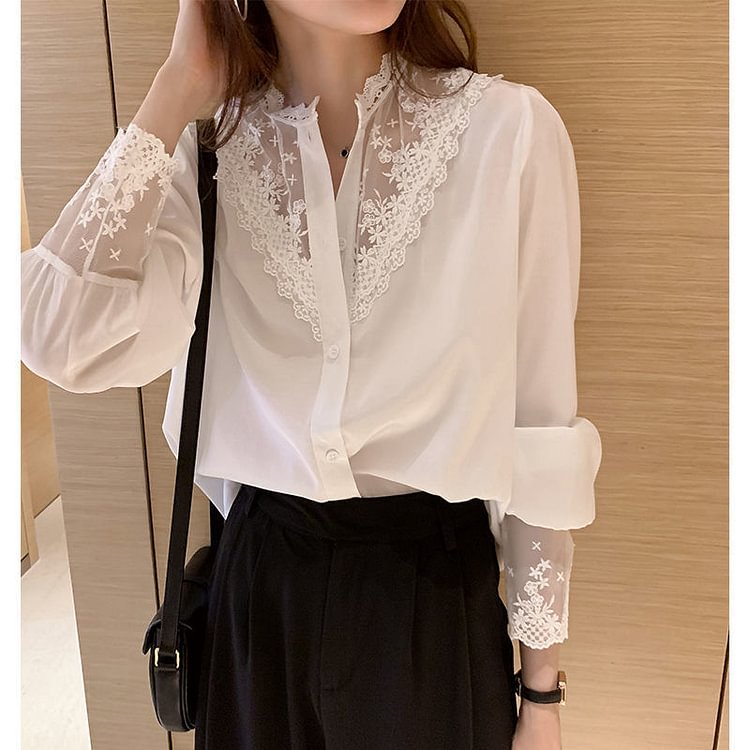 Elegant Lace Long Sleeve Shirt Top - Chicaggo