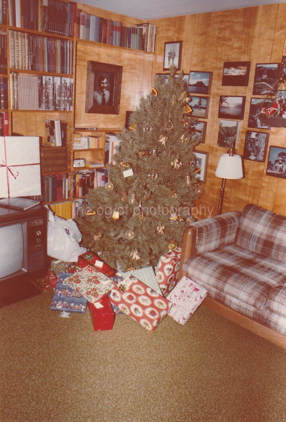 CHRISTMAS TREE Off Kilter FOUND Photo Poster paintingGRAPH Color Snapshot VINTAGE Gifts 811 35 G