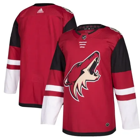 Men's  Arizona Coyotes Burgundy Red 2018 Season Home Stitched NHL Jersey