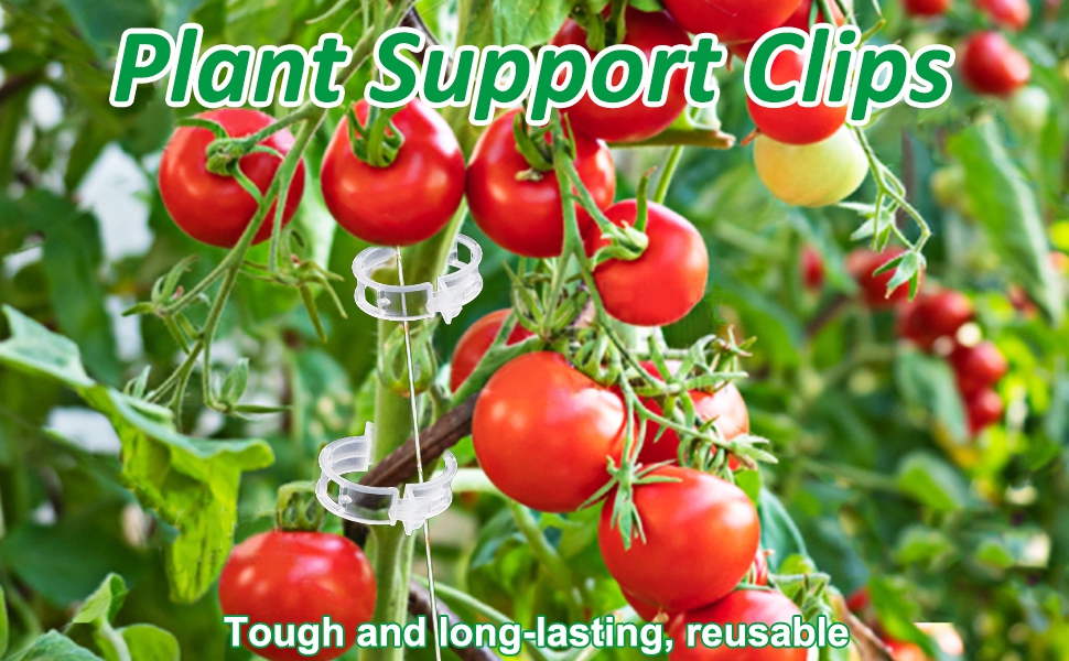 Tomato Clips