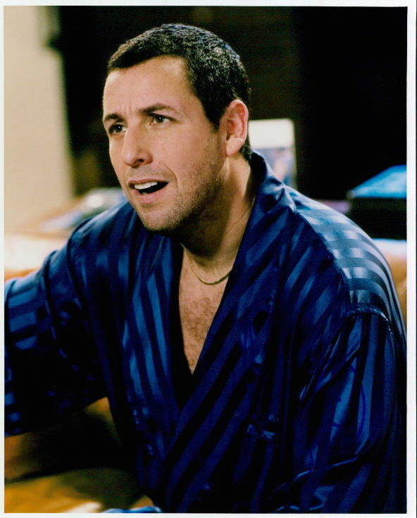 Adam Sandler (I Now Pronounce You Chuck & Larry) in-person signed 8x10 Photo Poster painting