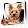 Dog-Full Square Diamond Painting