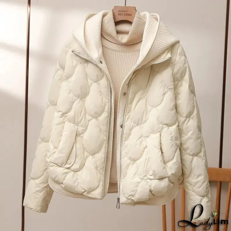 Simple and Stylish winter Jacket