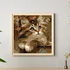 Framed Pear Cat-Paint By Numbers Acrylic Painting 20*20CM With Color Box 3ML(12Colors)