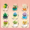 The Succulent Plants