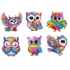 (US Local)6Pcs Acrylic  Owls Diamond Painting Fridge Magnet for Fridge Whiteboard