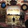 Oasis Band - Vintage Metal Signs - 20*30cm/30*40cm - Music