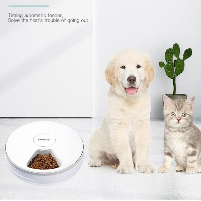 Automatic Robot Pet Feeders with Voice Record & Screen Timer