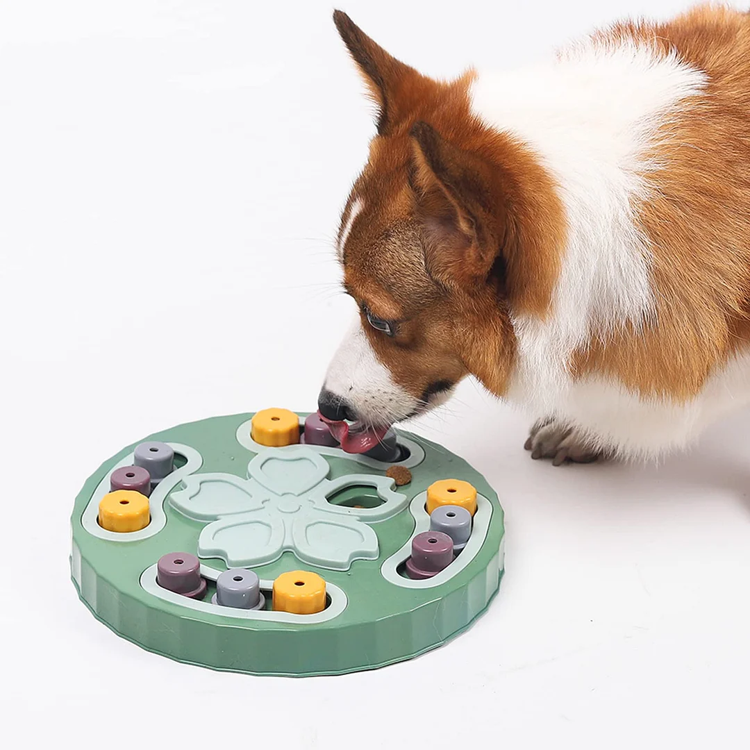 Pet Educational Food-Toy