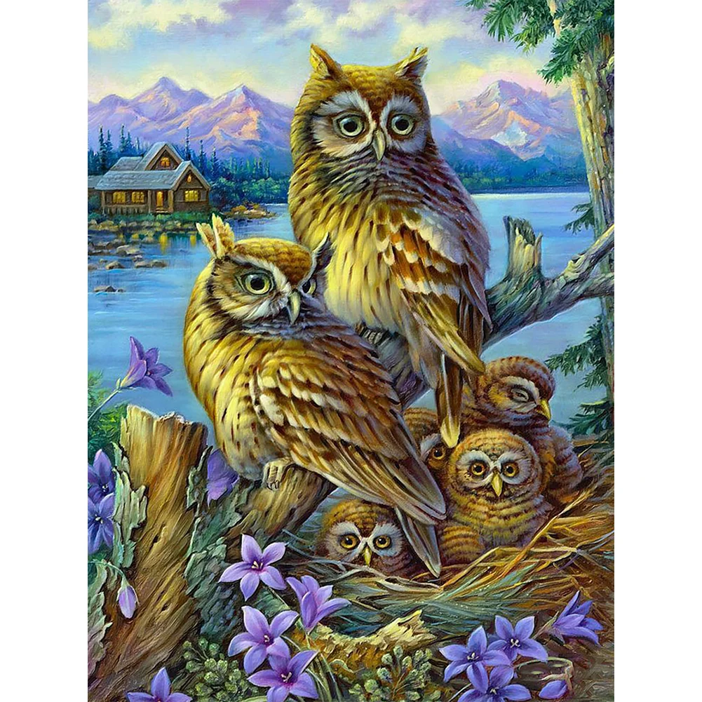 Owl - Full Round - Diamond Painting(30*40cm)