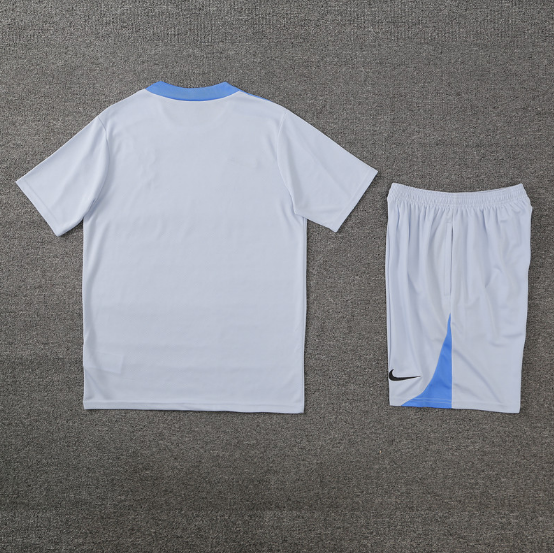 24/25 Tottenham Training Short Sleeve Kit Light Grey Football T-Shirt Thai Quality