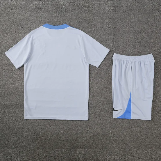 24/25 Tottenham Training Short Sleeve Kit Light Grey Football T-Shirt Thai Quality