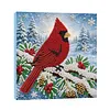 (20x20cm)Cardinal Pearl Painting Art Kits With Inner Frame Pearl Gem Paintings Picture Arts Craft for Adults Beginners Home Wall Decor