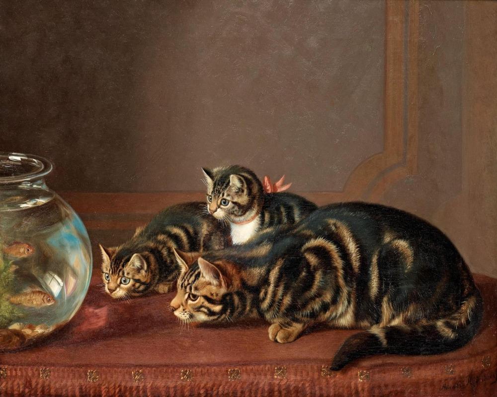 

Cats Look At Tub of Goldfishes – Paint By Numbers - 40*50CM, 501 Original