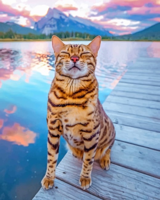 

Bengal Cat In A Seascape – Paint By Numbers - 40*50CM, 501 Original