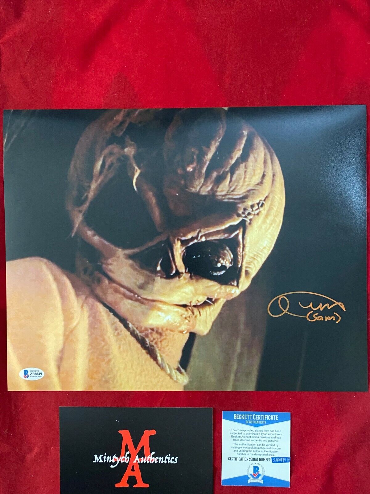 QUINN LORD TRICK 'R TREAT AUTOGRAPHED SIGNED 11x14 Photo Poster painting! BECKETT! HORROR! SAM!