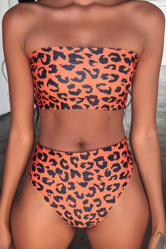 Wild High Wasited Cheetah Ruched Bandeau Bikini Swimsuit - Two Piece Set-elleschic