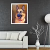 Peinture ronde de diamant de perceuse de chien-30*40cm
