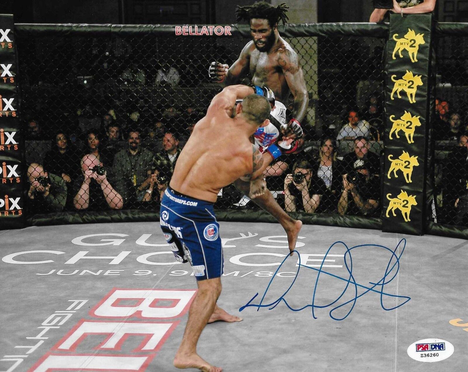 Daniel Straus Signed Bellator MMA 8x10 Photo Poster painting PSA/DNA COA UFC Picture Autograph 2