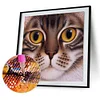 >SALE<5D DIY Diamond Painting Kits Full Round Drill Big Face Cat Mosaic (X637)
