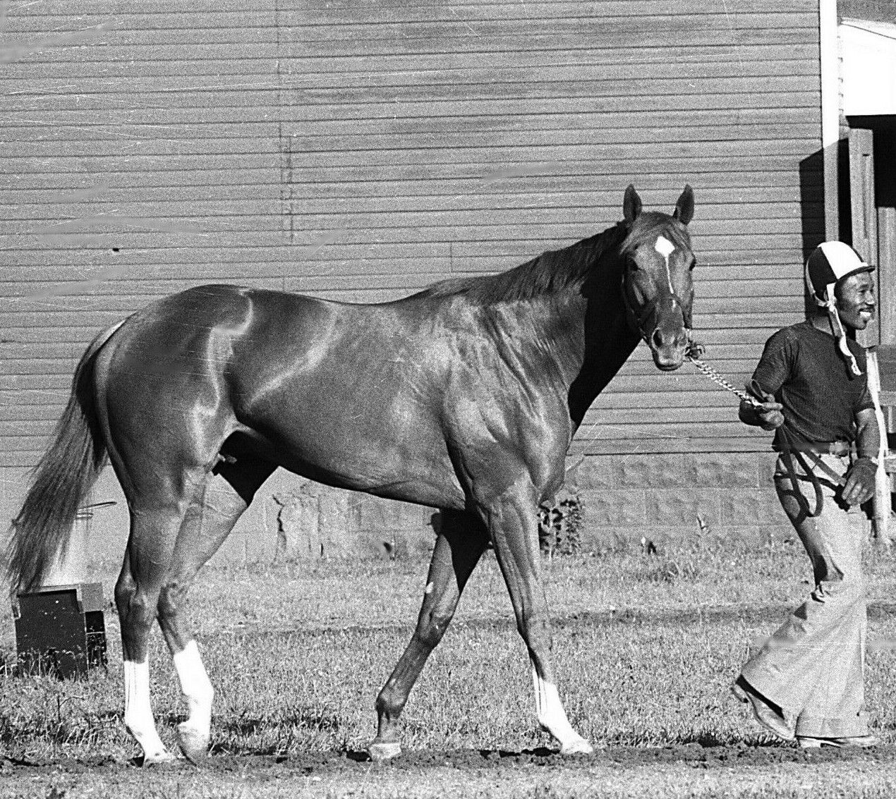 1973 Ron Turcotte SECRETARIAT Belmont Park Horse Racing 8x10 Photo Poster painting Triple Crown